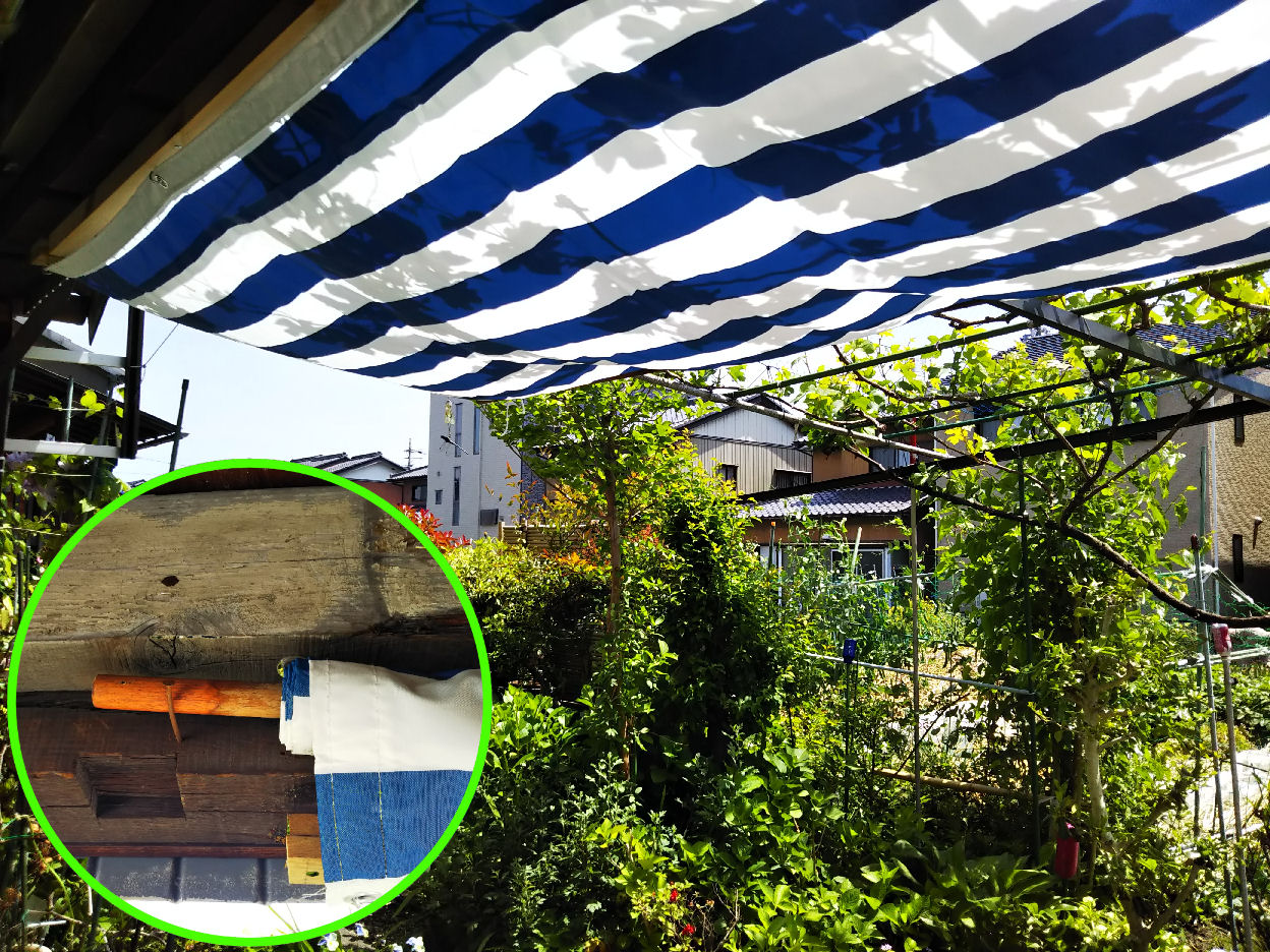 new sunshade20250507.jpg